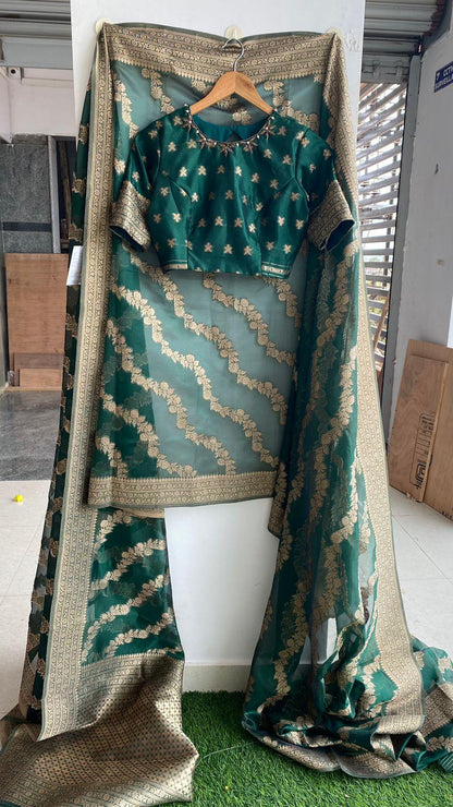 Green Beautiful organza zari saree with embroidery hand worked blouse - Threads